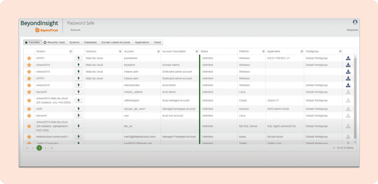 remote access software BeyondTr password vault screenshot